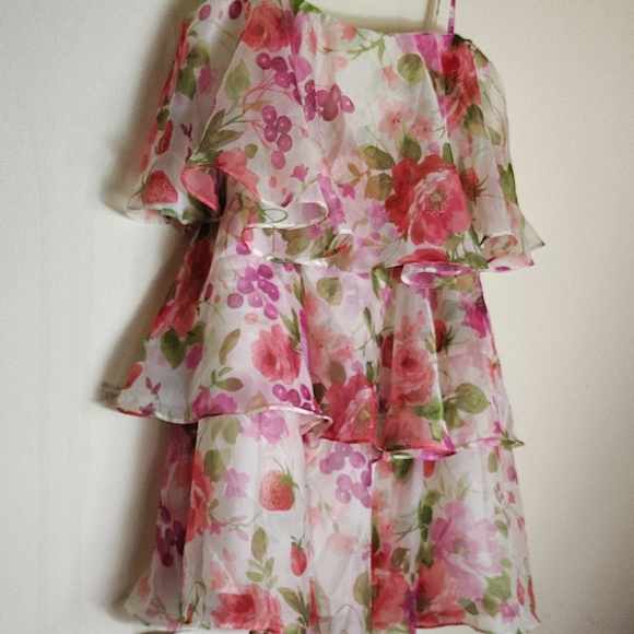 Abercrombie & Fitch Floral Dress - Picture 4 of 5